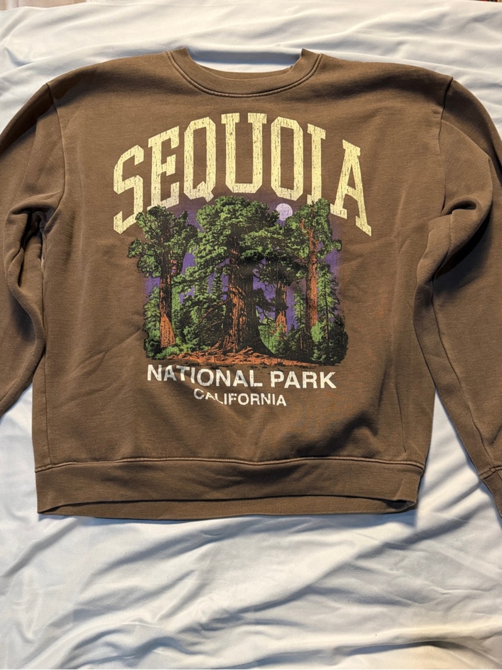 PacSun Brown Sequoia National Park Graphic Crewneck